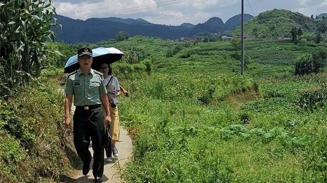 政审都审什么内容,考研生政审一般都审什么