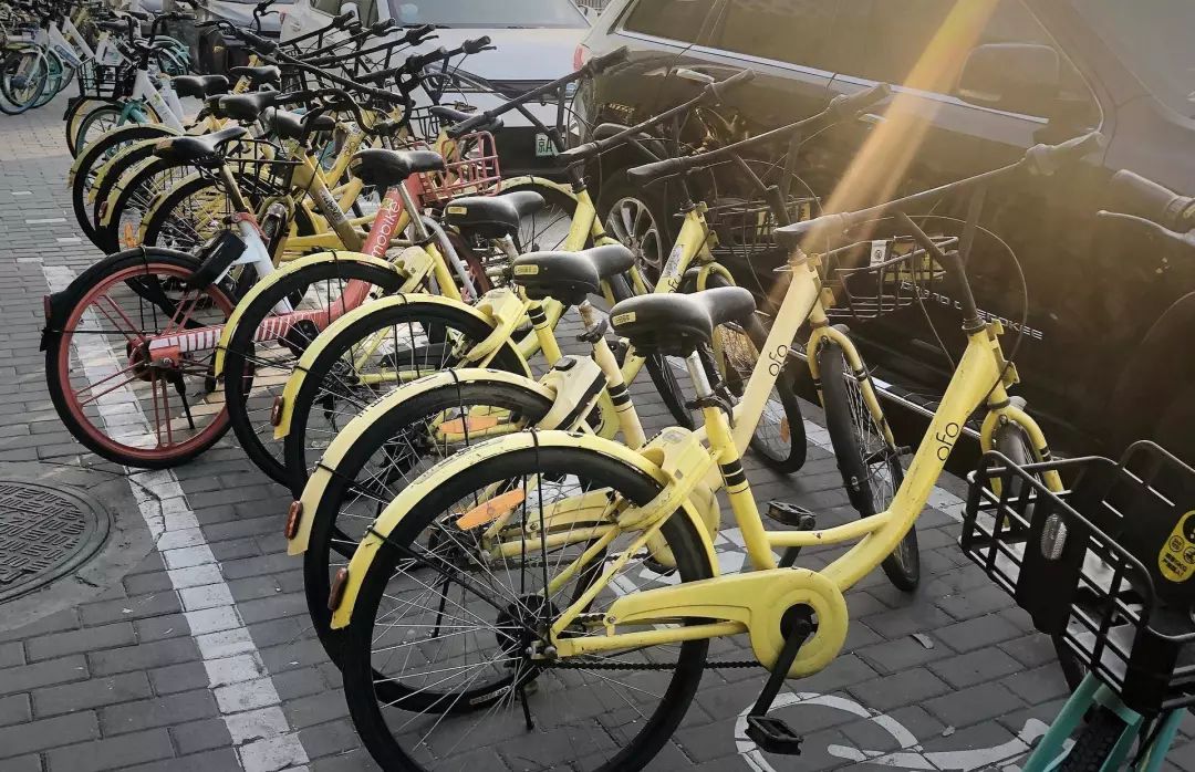 ofo总部现退押金,ofo自救免押金