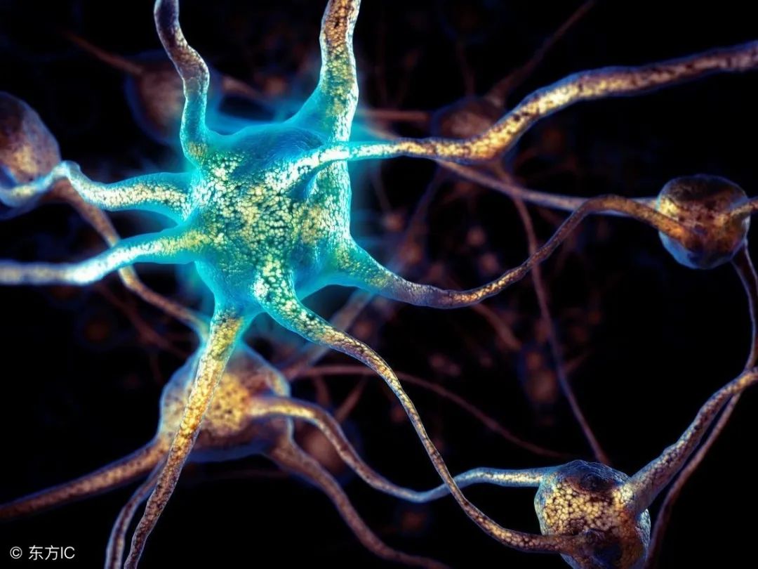 怎样看宝宝脑瘫前兆,小儿脑瘫的六种常被忽视的问题