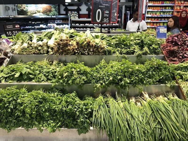 迪拜生活真实工资,在迪拜怎么降低生活成本