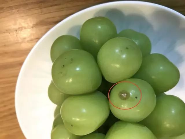 阳光玫瑰网红水果,阳光玫瑰水果视频