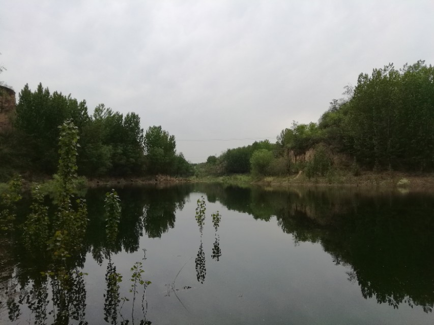 郑州树木园最新视频,郑州树木园现状