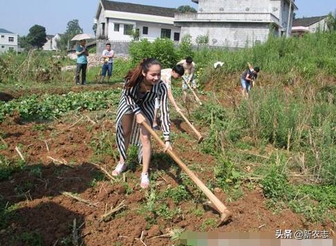 现在在农村创业什么行业最好,农民做什么生意不赚钱