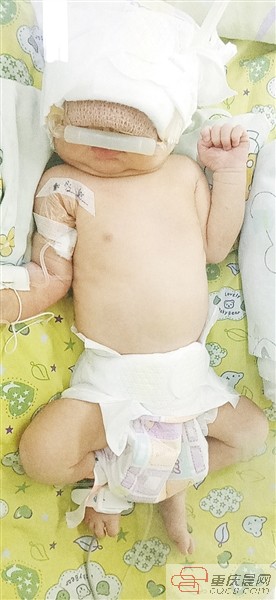 安安宝宝是谁,安安是安妈超正的儿子吗