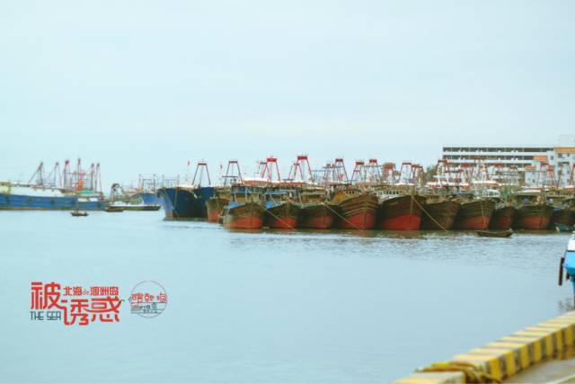 景色不输东南亚,美食百元吃到撑,这座滨海小城冬季正好最迷人