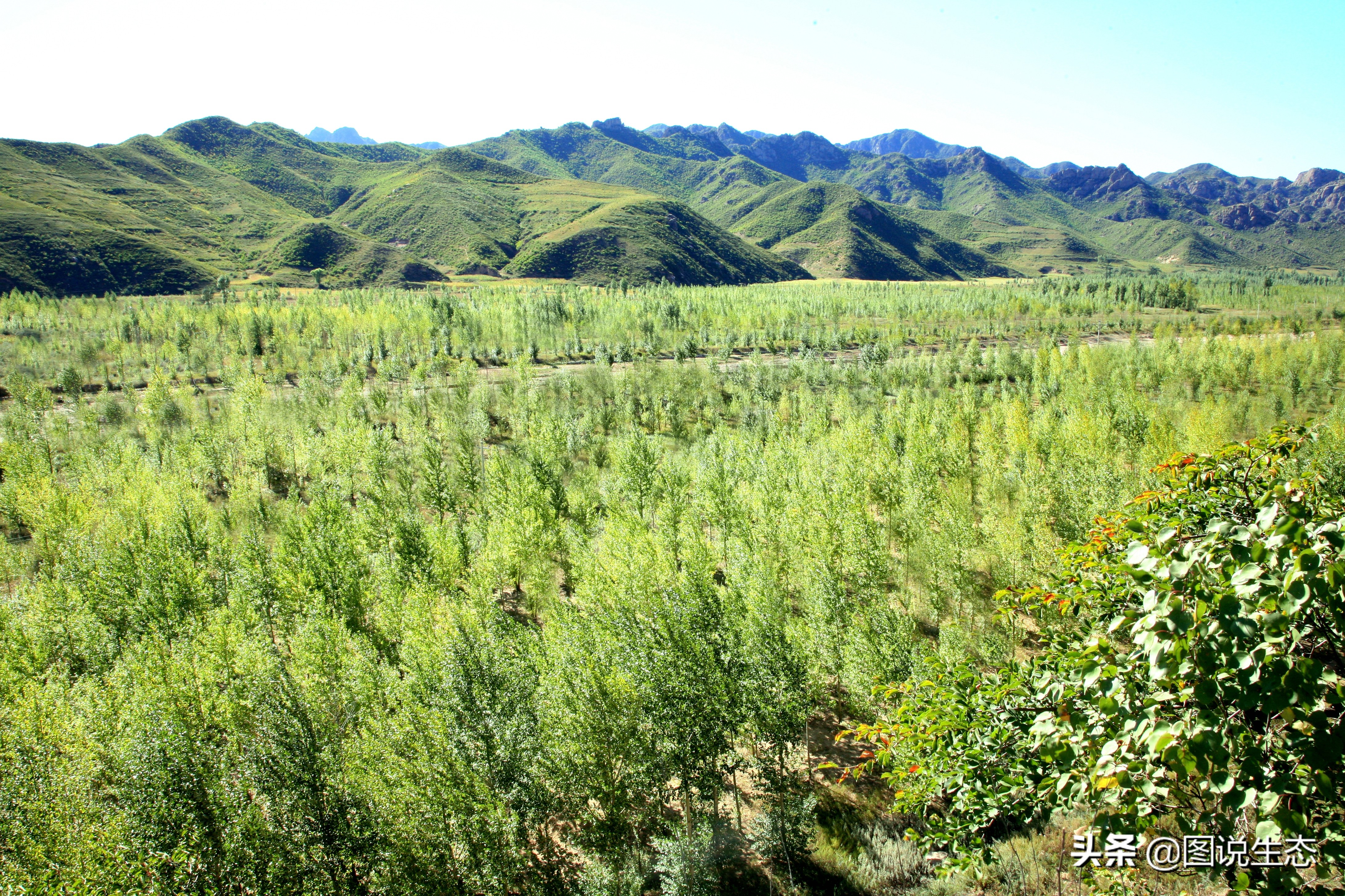 20年风雨治沙路，绿水青山秀丰宁