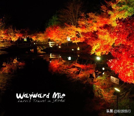 日本关西京都奈良旅游,日本关西自由行之奈良