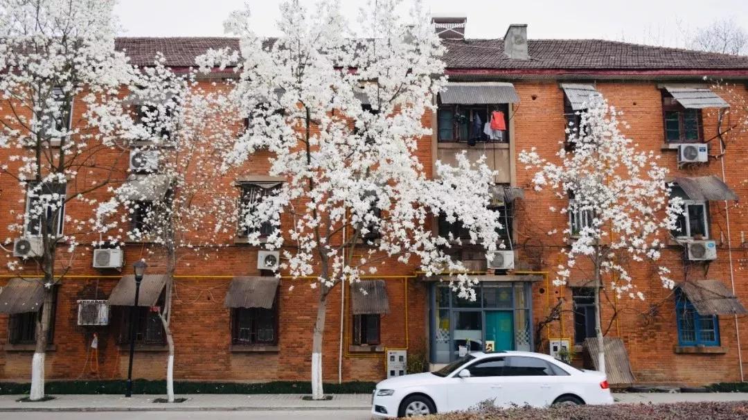 安徽省高校合肥理工,安徽省二类本科公办大学