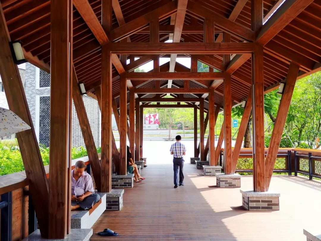 深圳最美簕杜鹃谷公园花海,宝安区花海赏花景点