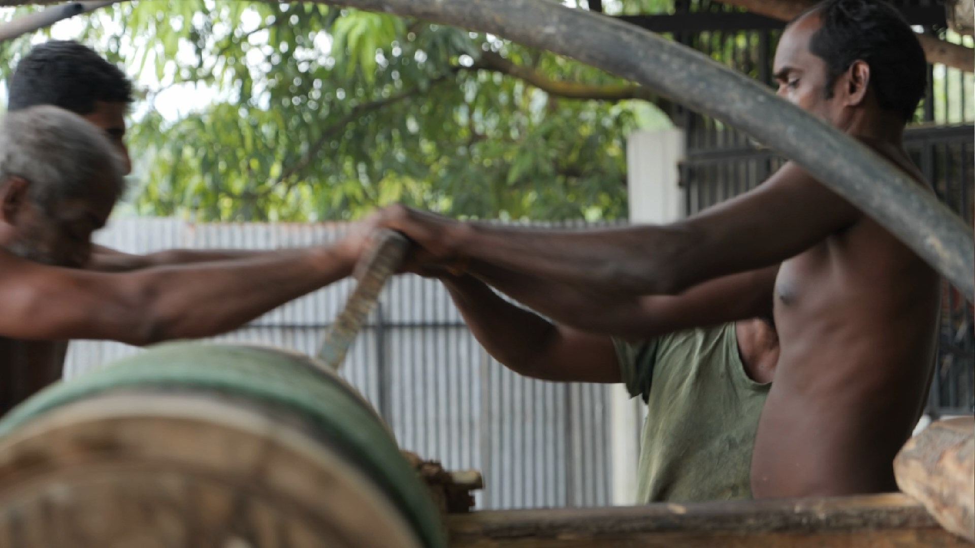 宝姐在斯里兰卡,宝姐的全部视频