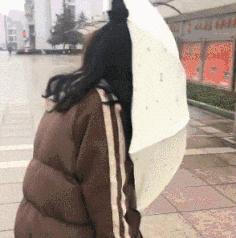 在野外发现甘蔗,在山里发现甘蔗