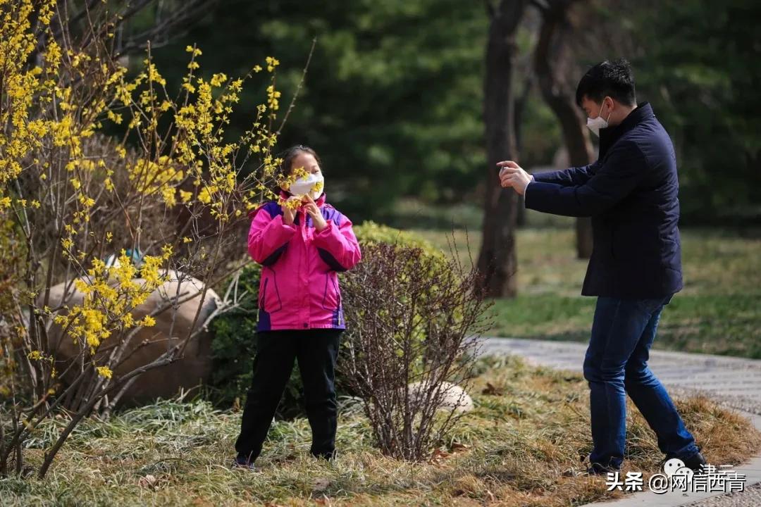 天津2022哪些公园恢复开放,天津临港亲海公园什么时候开放