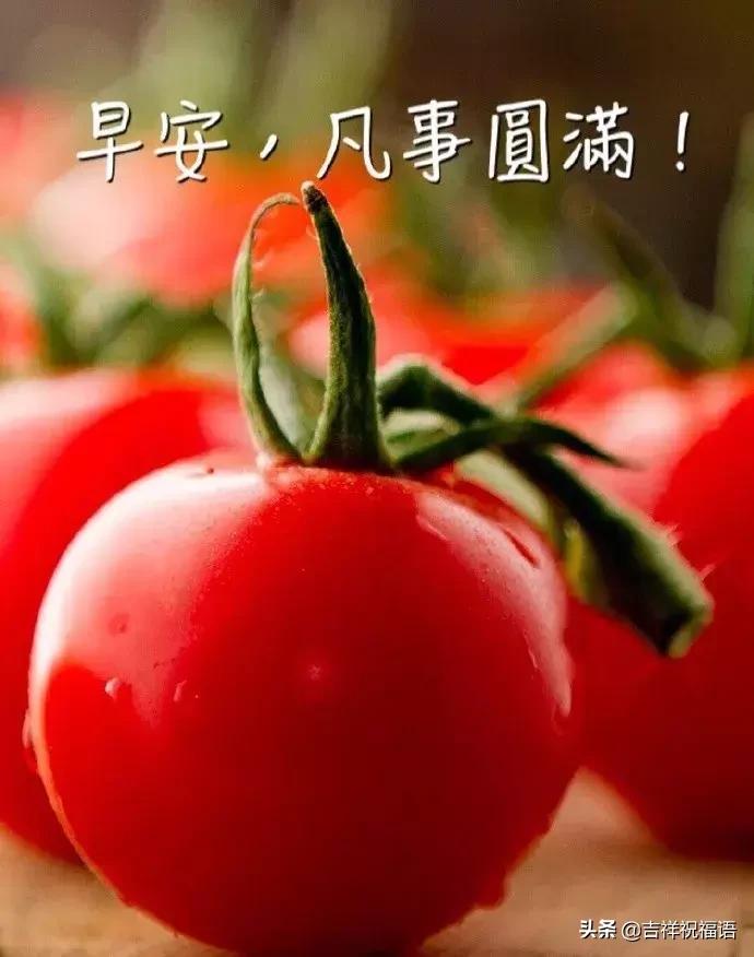 暖心祝福早上好的问候语,冬天早晨问候早上好的暖心句子