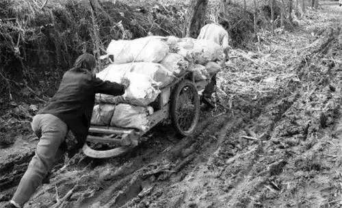 六七十年农民交公粮照片,老百姓上缴公粮场面