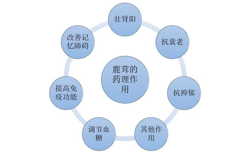 鲜鹿茸价格行情走势分析,走进鹿茸市场了解近期行情