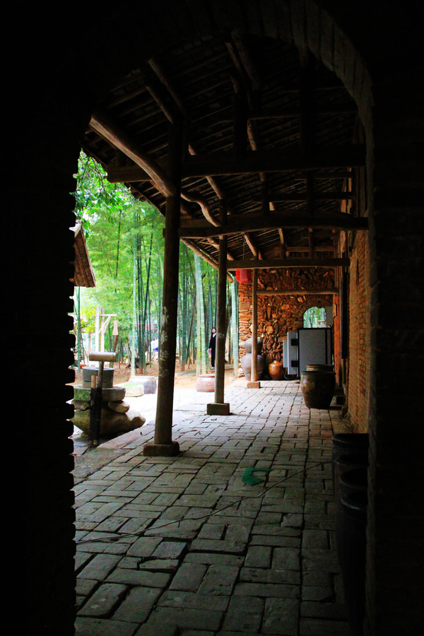 鄱湖之滨美景图,鄱阳湖之滨