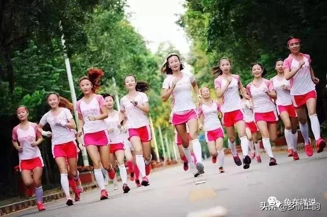 鱼在洋简介,鱼在洋原创动画