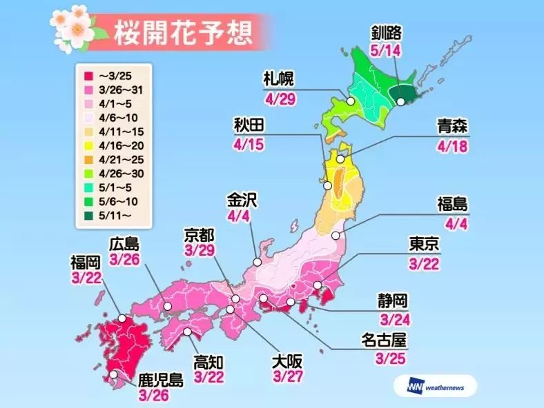 这部感动无数人的神作里，樱花究竟隐喻什么？——评《胰脏物语》