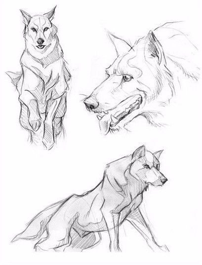 简笔画人物教程大全零基础成人,1000个适合零基础的简笔画教程