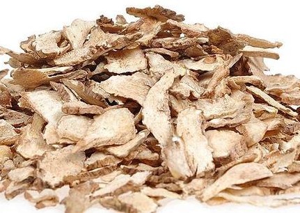 《本草精荟》：收敛止血：白及的功效与应用