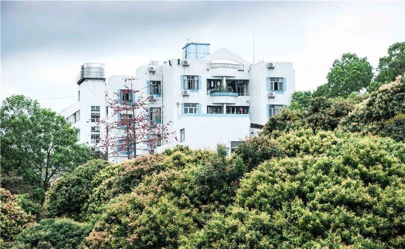 深职院在全世界排多少名,深职院全国最强大专