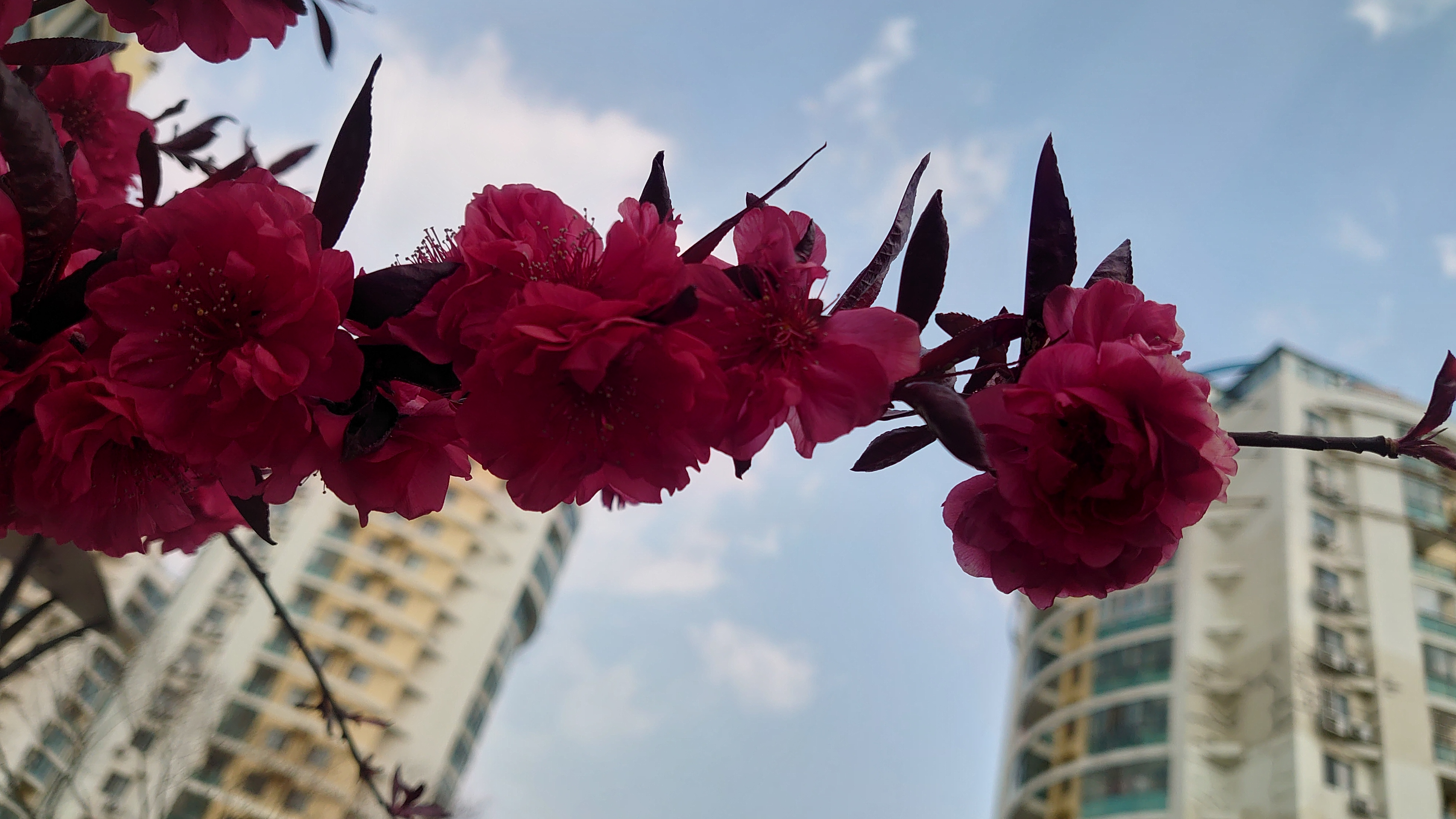 索尼微单手机xperia5i,索尼xperia5ii深度评测