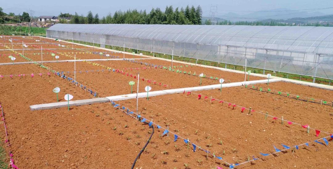 一起去瓶窑“拿块地”！古城旁，南山下，50个平方200元......