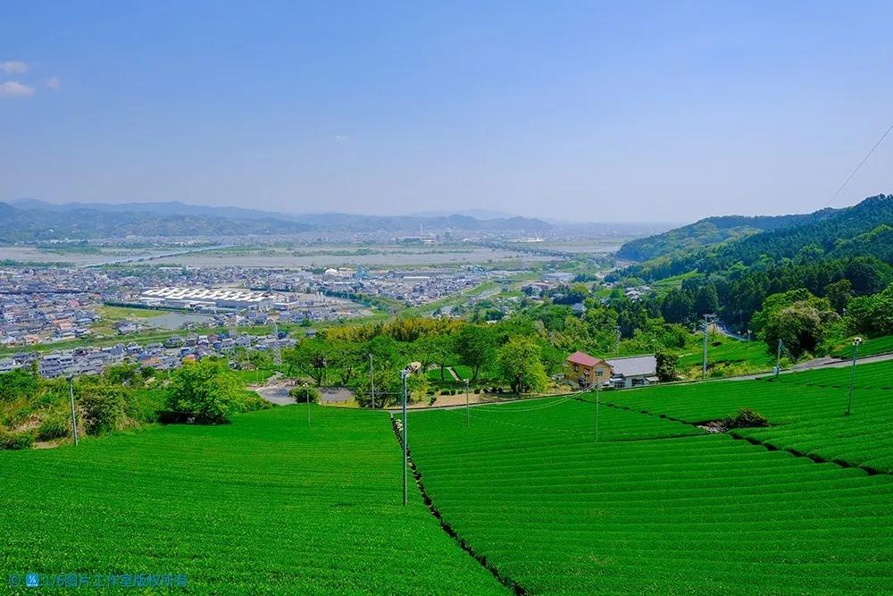 日本茶文化旅游,日本茶之都博物馆