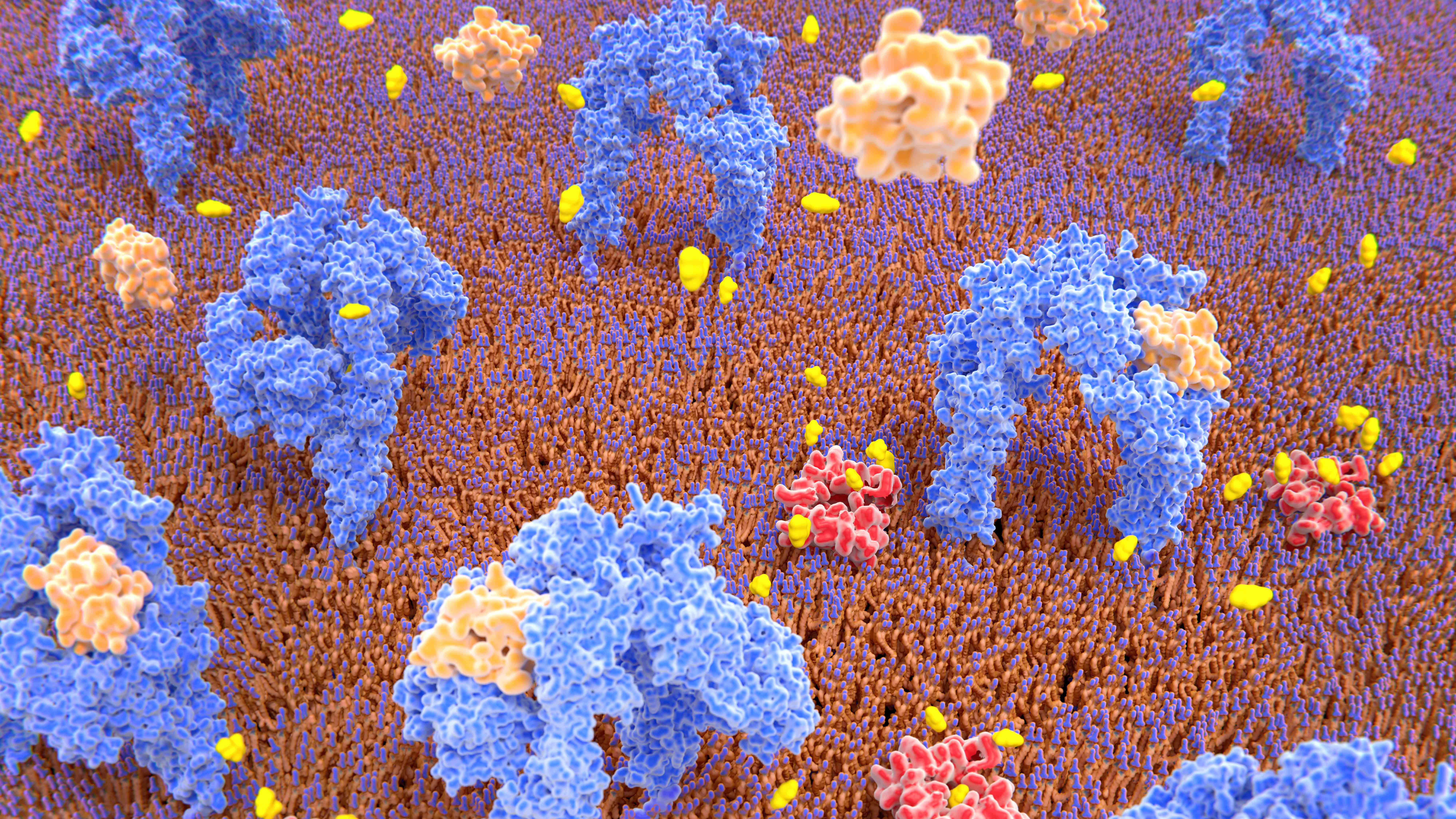 nature重磅揭秘人类抗击糖尿病历史,nature十大科学进展