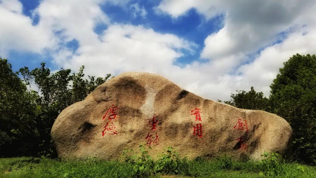 托普学院苏州,苏州托普信息职业技术学院怎么样