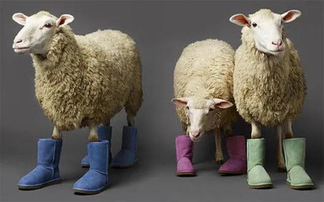 ugg男可以穿吗,ugg男的能穿吗