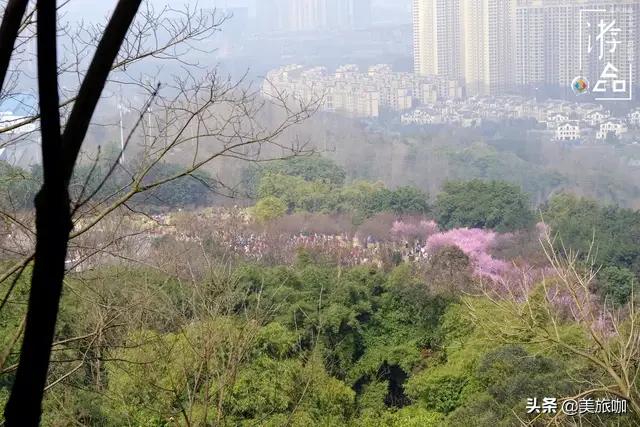 重庆老君山网红打卡拍照,重庆七星岗网红打卡景点