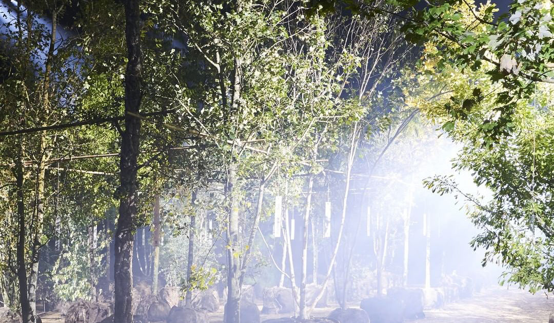 春日樱花限定合集,樱花季限定款好物盘点