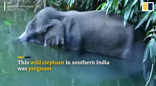 15岁怀孕，她被骗吃下*药炸**，一尸两命：有些人，这辈子不配为人