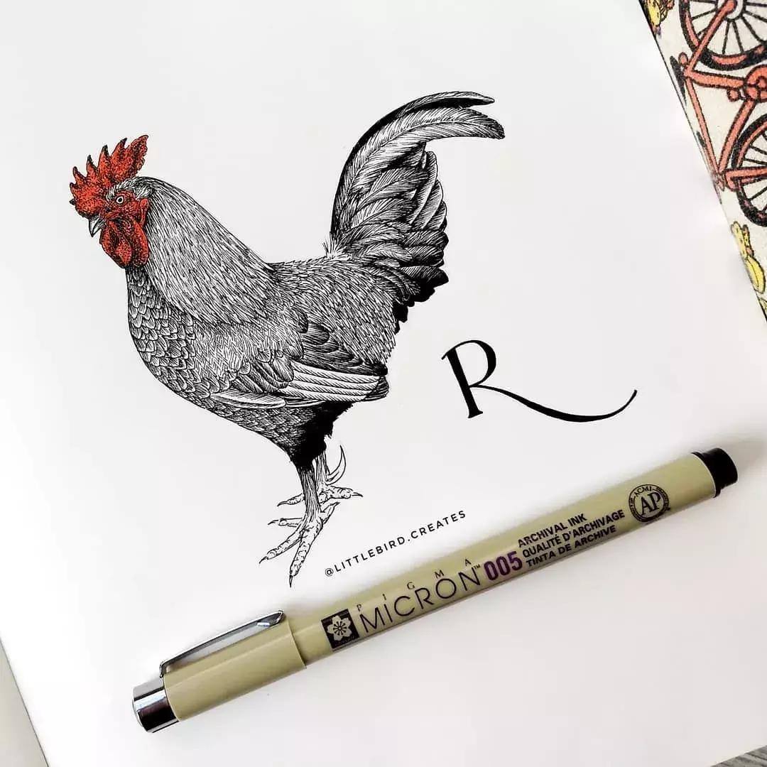 这一波手绘太给力了,绝对让你练完不厉害都难