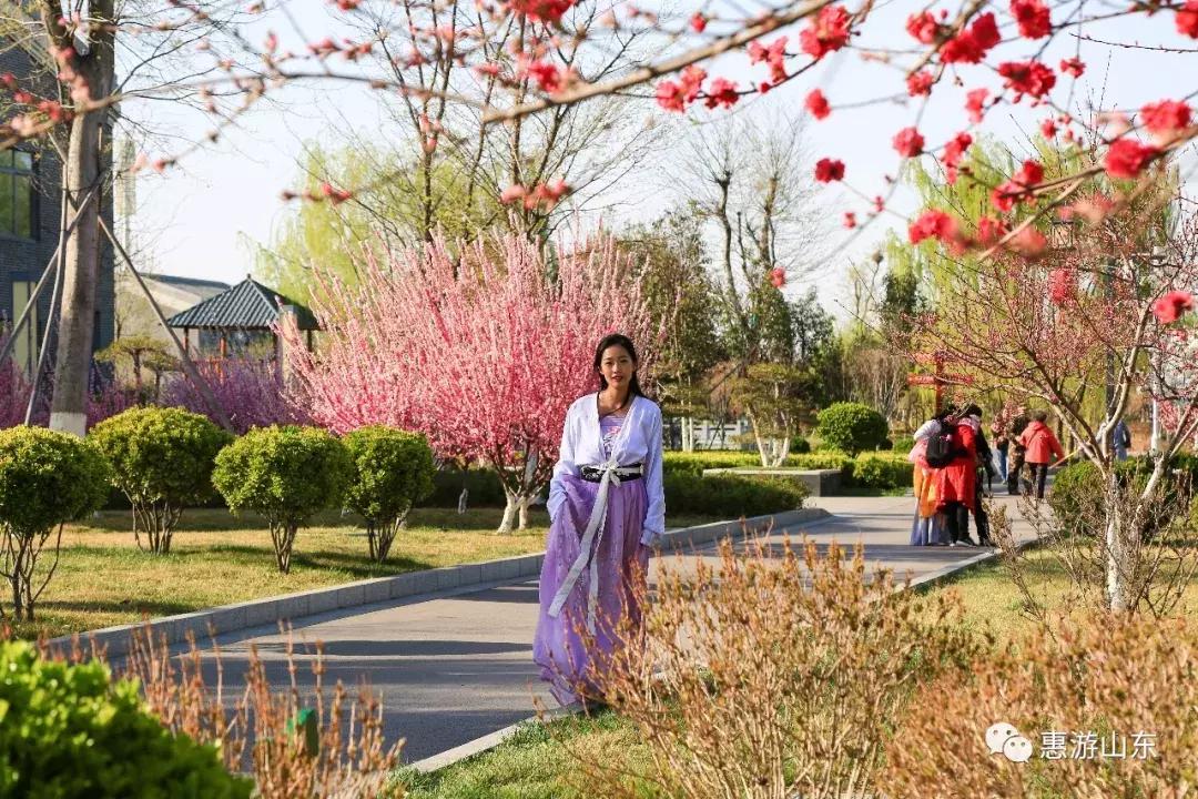 春到泉城之泉城公园,大美宁阳复圣公园