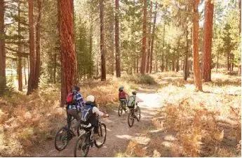 国家新建立的生态公园,占地四千亩的公园