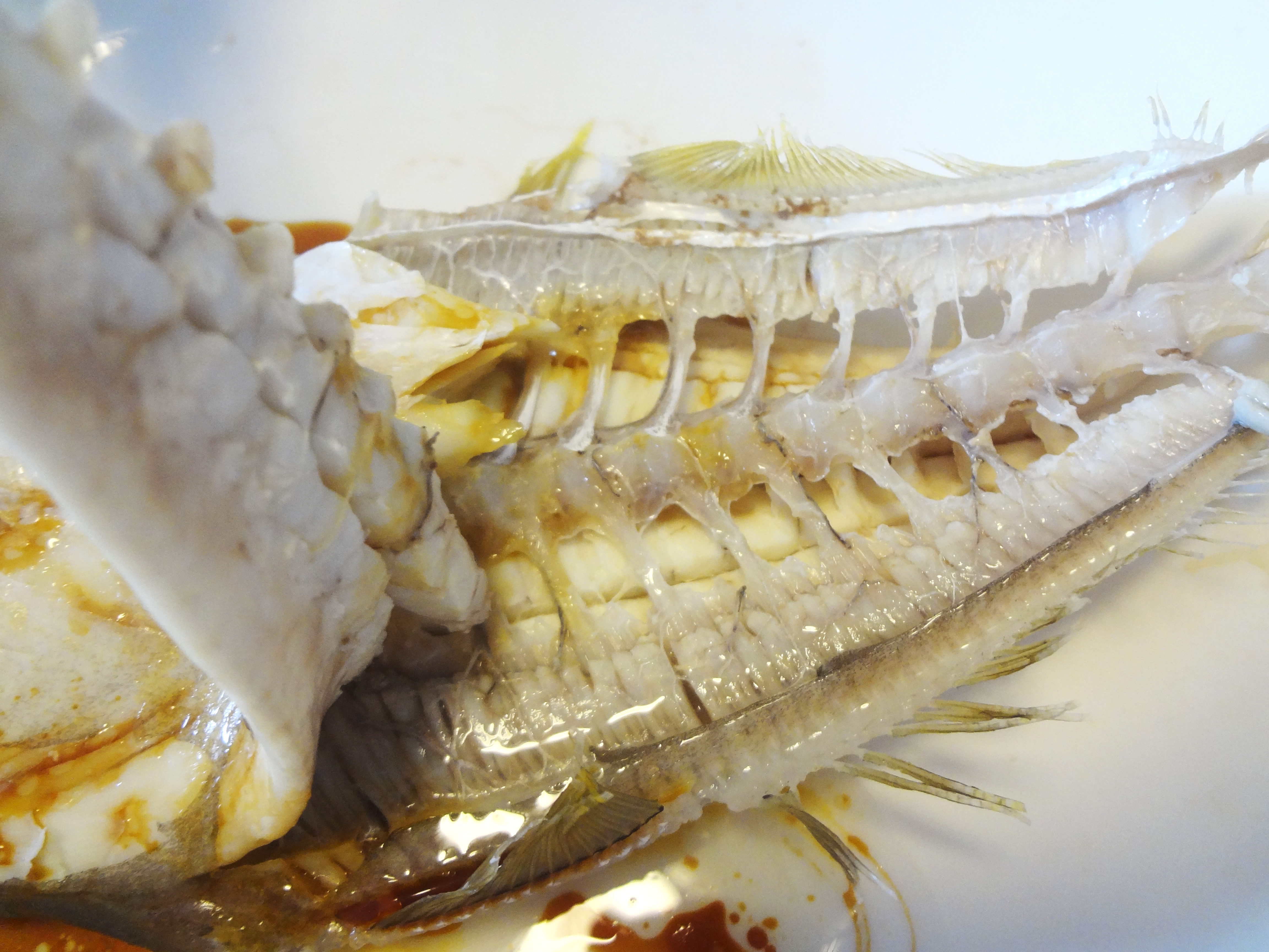 内行人买鱼,买鱼时内行人专买的5种鱼