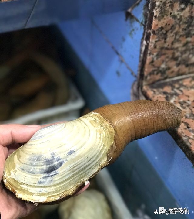 世界公认十大海鲜,全球顶级海鲜食材大赏