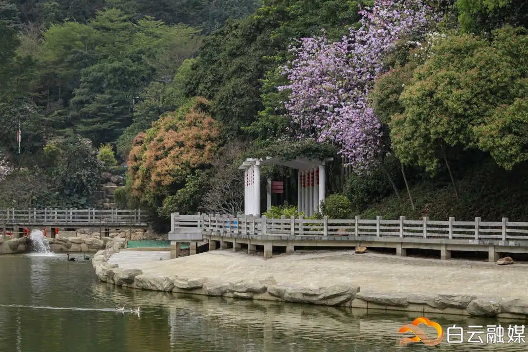 走一起去看美丽的风景,走一起去看美好的风景