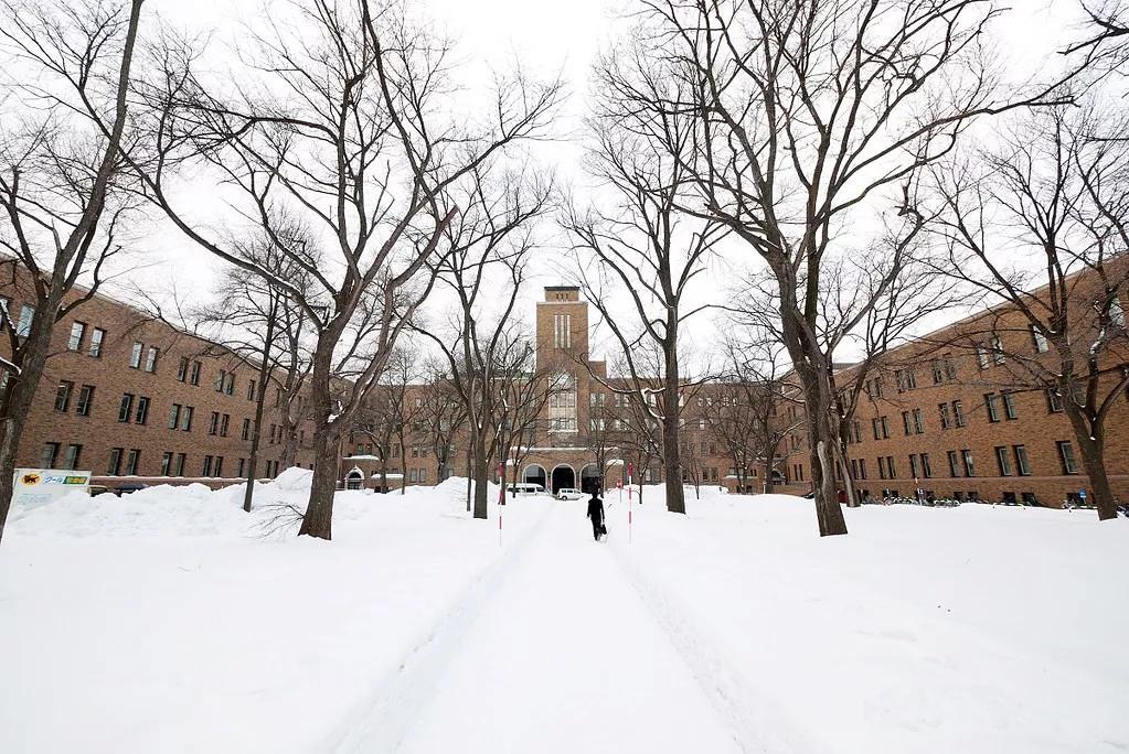 北海道十日游路线,夏日北海道9天自由行