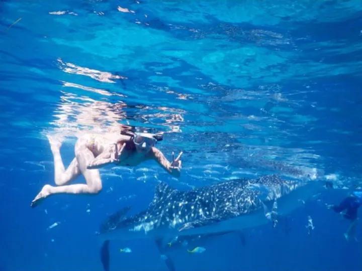 日本女星木村拓哉,日本名模木村拓哉