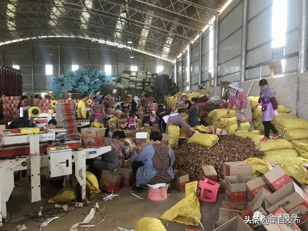 蒙自电商怎么入门,交易额超千亿电商数量