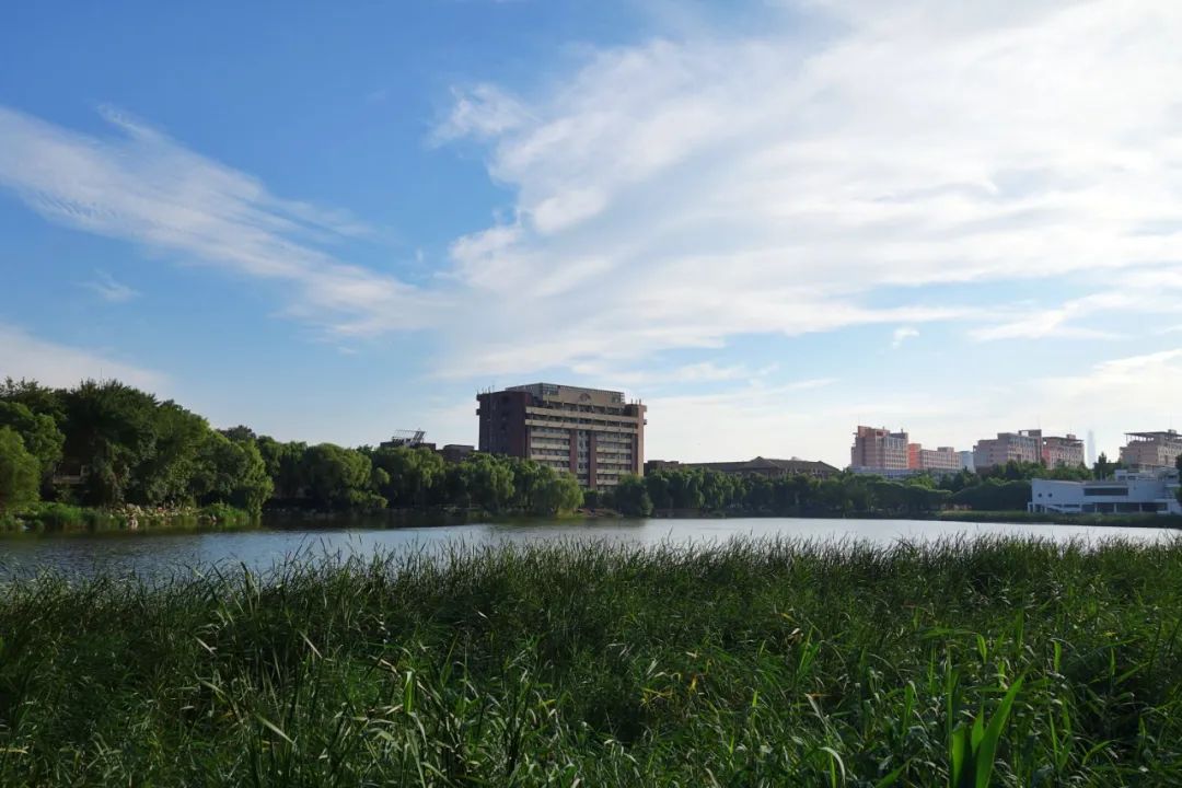 那些研究生是怎样走向崩溃的,那些研究生怎样走向崩溃的