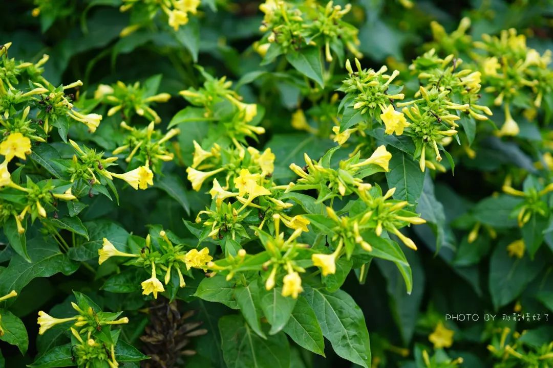 塔斯马尼亚幽灵之旅，夜访世界尽头190年历史闹鬼老监狱