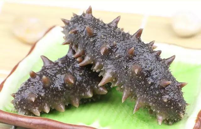 便宜海参为什么不能买 (买海参要注意哪些)