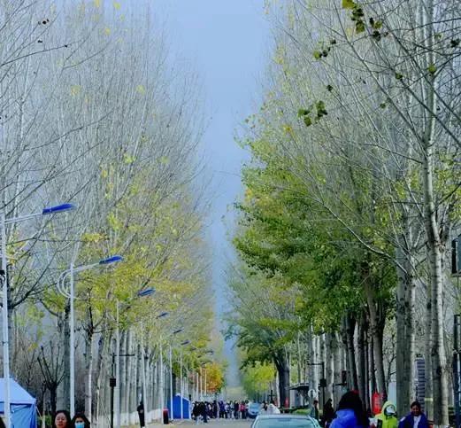 天津市独立院校（四）天津财经大学珠江学院