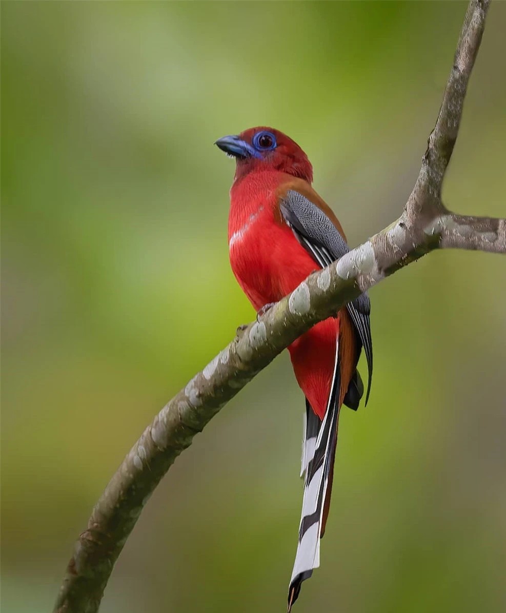 汉字七的大写数字,数字七汉字的正确写法