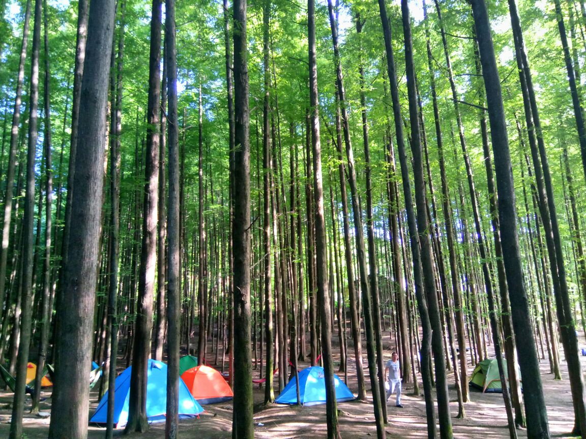 重庆避暑凉快的地方,重庆人都去贵州哪里避暑最好