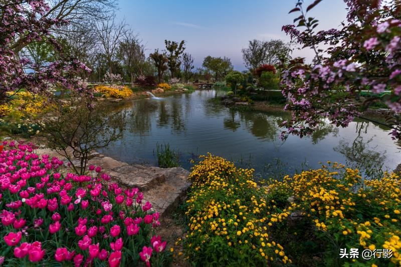 中国的布查特花园，南京溧水三叶梦华苑，圆您春天的花园梦